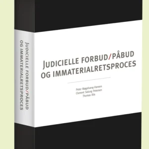 Judicielle forbud/påbud og immaterialretsproces