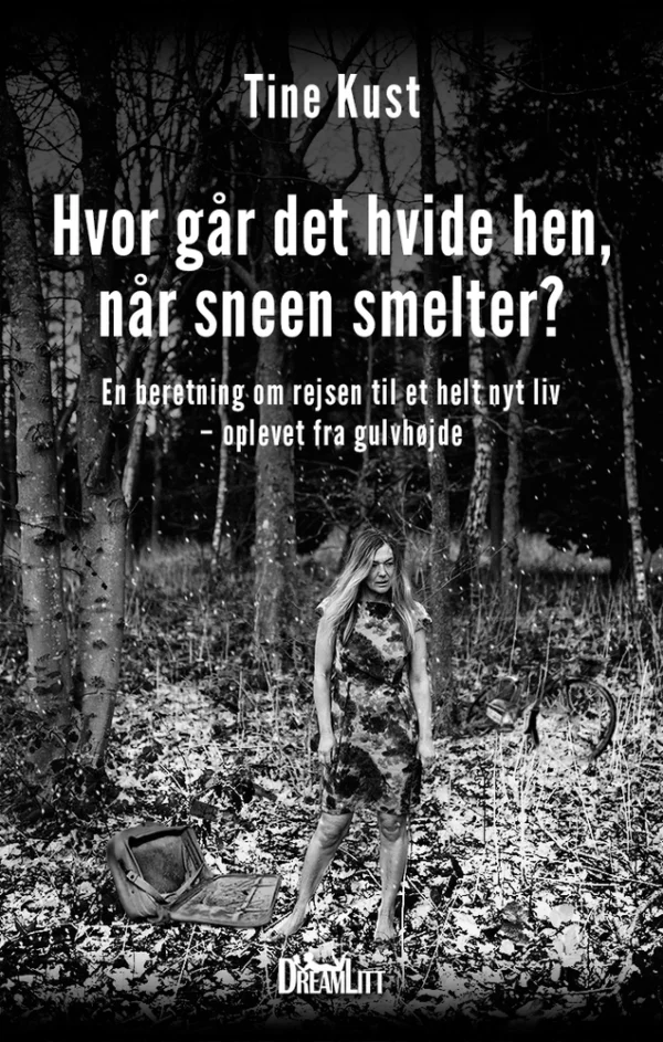 Hvor går det hvide hen, når sneen smelter