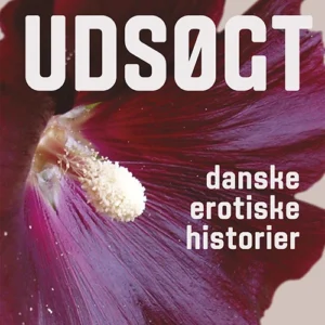 Udsøgt