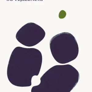 Narrativ supervision og vejledning