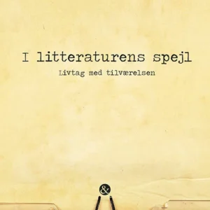I litteraturens spejl