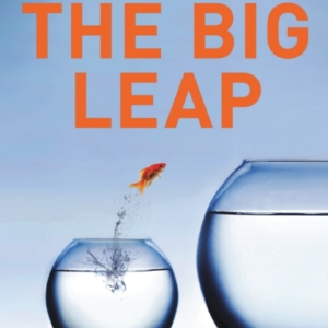 The Big Leap Conquer Your Hidden Fear And Take Life To The N