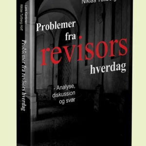 Problemer fra revisors hverdag