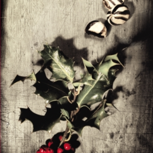 A Christmas Carol