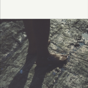 The Fall