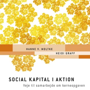 Social kapital i aktion