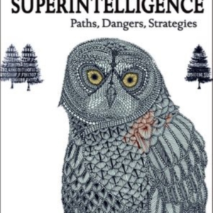 Superintelligence Paths, Dangers, Strategies