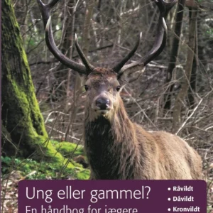 Ung eller gammel?