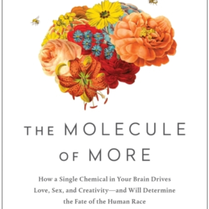 The Molecule Of Morehow A Single Chemical In Your Brain Driv