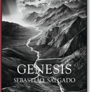 Sebastiao Salgado. Genesis