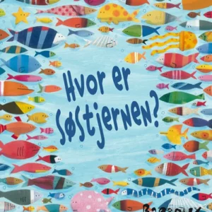 Hvor er søstjernen?