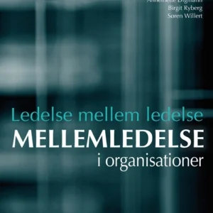 Ledelse mellem ledelse