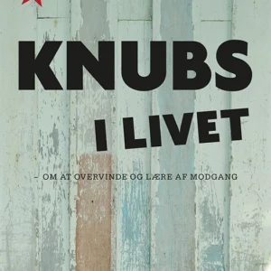 Knubs i livet