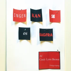 Ingen kan se os bagfra