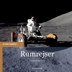 Rumrejser
