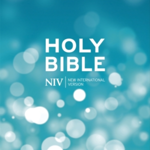 Niv Popular Hardback Bible