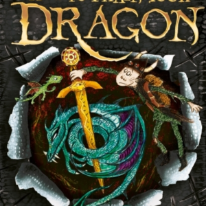 How To Train Your Dragon: How To Steal A Dragon's Sword Book