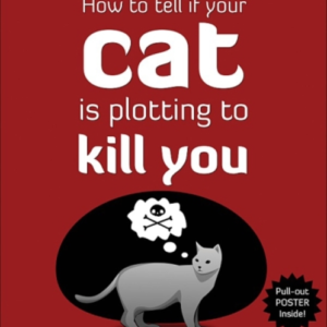 How To Tell If Your Cat Is Plotting To Kill You