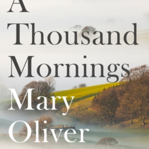 A Thousand Mornings
