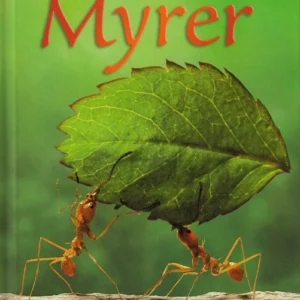 Små fakta: Myrer