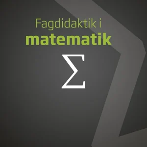 Fagdidaktik i matematik