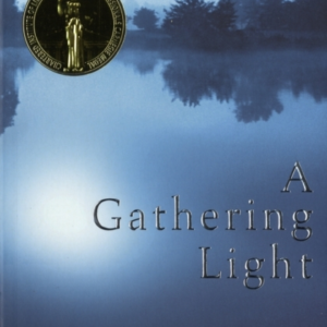 A Gathering Light