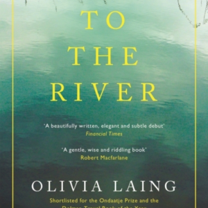 To The Rivera Journey Beneath The Surface