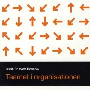 Teamet i organisationen