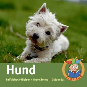 Hund