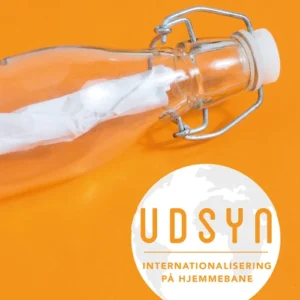 Udsyn