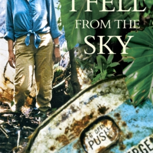 When I Fell From The Skythe True Story Of One Woman's Miracu