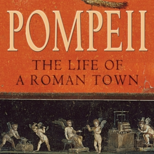 Pompeiithe Life Of A Roman Town