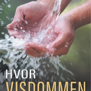 Hvor visdommen begynder