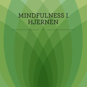 Mindfulness i hjernen