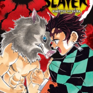 Demon Slayer Kimetsu No Yaiba Vol. 4