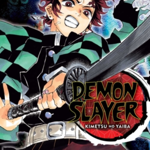 Demon Slayer Kimetsu No Yaiba Vol. 10