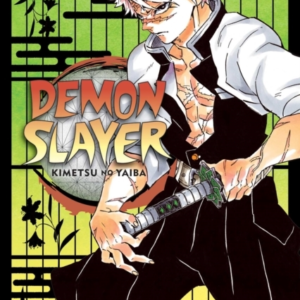 Demon Slayer Kimetsu No Yaiba Vol. 17
