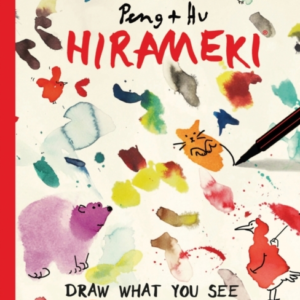 Hiramekidraw What You See