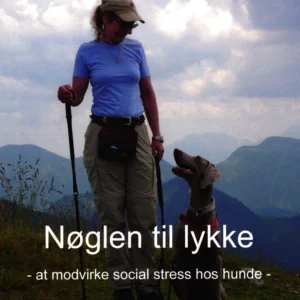 Nøglen til lykke