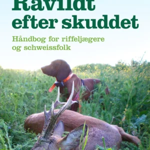 Råvildt efter skuddet