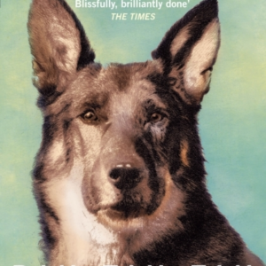 Rin Tin Tinthe Life And Legend Of The Worlds Most Famous Do