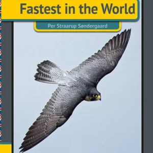 Fastest in the world
