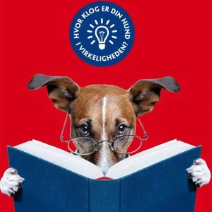Test din hund