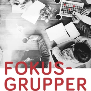 Fokusgrupper, 3. udgave