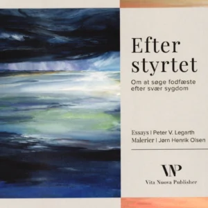 Efter styrtet