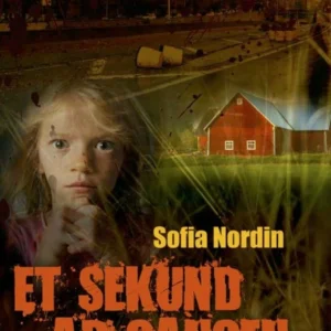 Et sekund ad gangen