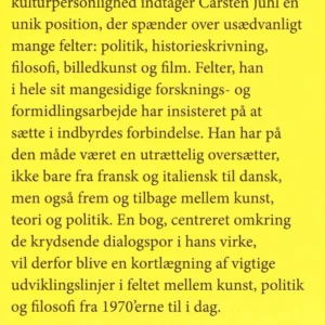 Gæstfrihed i kunst og politik