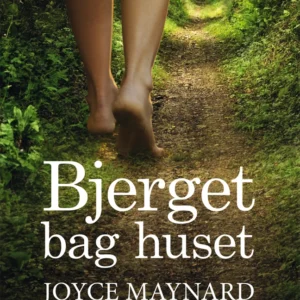 Bjerget bag huset