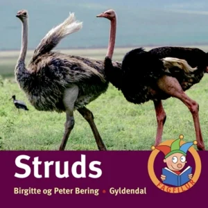 Struds