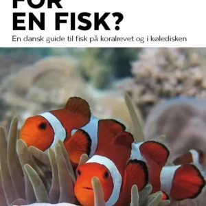 Fisk/ferskvand/saltvand